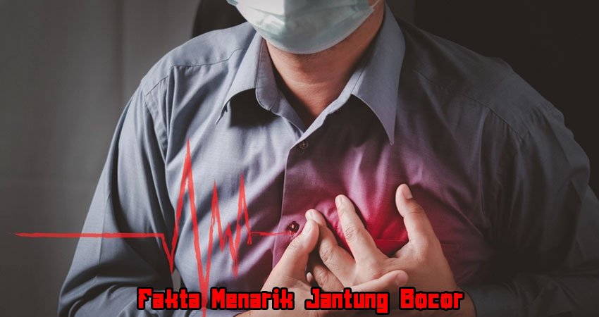 Fakta Menarik Jantung Bocor