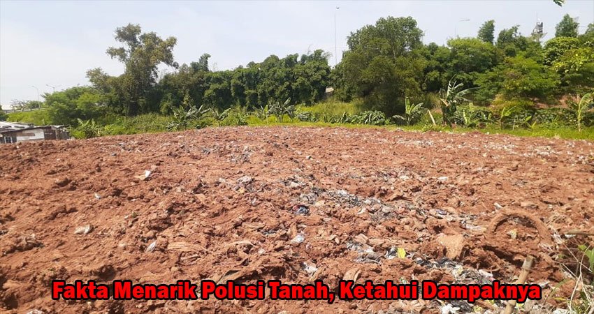 Fakta Menarik Polusi Tanah, Ketahui Dampaknya