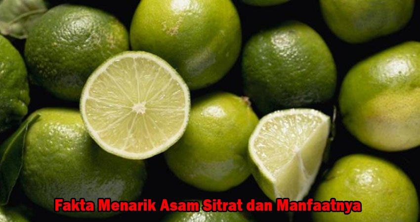 Fakta Menarik Asam Sitrat dan Manfaatnya