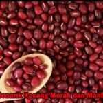 Fakta Menarik Kacang Merah dan Manfaatnya